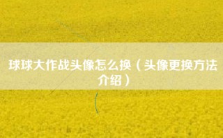 球球大作战头像怎么换（头像更换方法介绍）