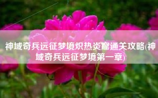 神域奇兵远征梦境炽热炎窟通关攻略(神域奇兵远征梦境第一章)