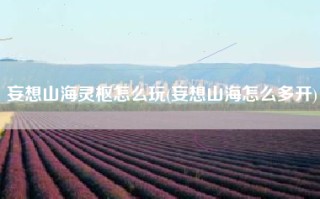 妄想山海灵枢怎么玩(妄想山海怎么多开)