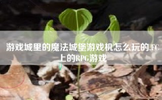 游戏城里的魔法城堡游戏机怎么玩的,FC上的RPG游戏