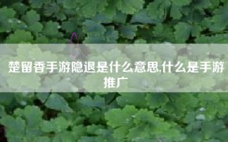 楚留香手游隐退是什么意思,什么是手游推广