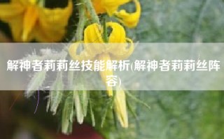 解神者莉莉丝技能解析(解神者莉莉丝阵容)