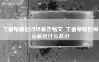 王者荣耀铠四级暴击铭文_王者荣耀四级贡献是什么意思