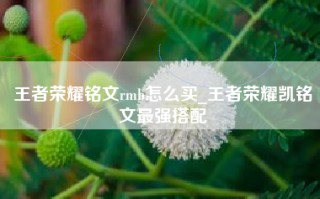 王者荣耀铭文rmb怎么买_王者荣耀凯铭文最强搭配