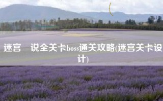 迷宫伝说全关卡boss通关攻略(迷宫关卡设计)