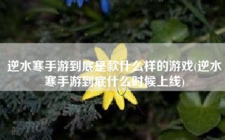 逆水寒手游到底是款什么样的游戏(逆水寒手游到底什么时候上线)