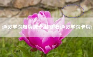 通灵学院爆牌贼卡组(炉石通灵学院卡牌)