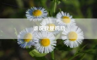 谁说我是鸡肋