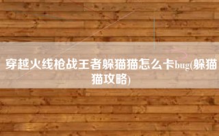 穿越火线枪战王者躲猫猫怎么卡bug(躲猫猫攻略)