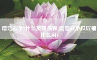 蘑菇战争2什么英雄最强(蘑菇战争铁匠铺什么用)