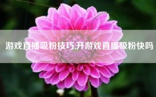 游戏直播吸粉技巧,开游戏直播吸粉快吗