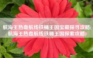 航海王热血航线铁桶王国宝藏探寻攻略(航海王热血航线铁桶王国探索攻略)