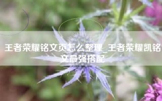 王者荣耀铭文页怎么整理_王者荣耀凯铭文最强搭配