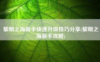 黎明之海新手快速升级技巧分享(黎明之海新手攻略)