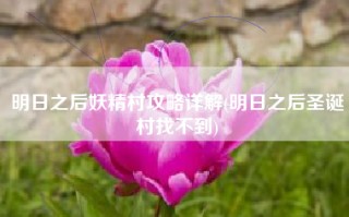 明日之后妖精村攻略详解(明日之后圣诞村找不到)