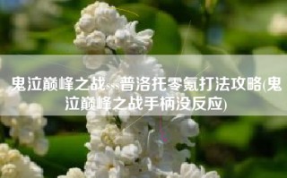 鬼泣巅峰之战sss普洛托零氪打法攻略(鬼泣巅峰之战手柄没反应)