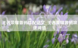 王者荣耀鲁班咋配铭文_王者荣耀鲁班攻速阈值