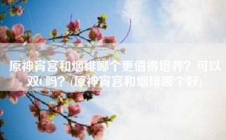 原神宵宫和烟绯哪个更值得培养？可以双C吗？(原神宵宫和烟绯哪个好)