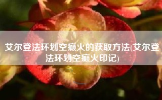 艾尔登法环划空癫火的获取方法(艾尔登法环划空癫火印记)