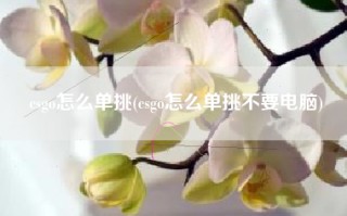 csgo怎么单挑(csgo怎么单挑不要电脑)