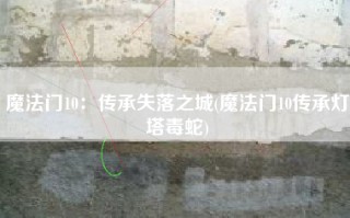 魔法门10：传承失落之城(魔法门10传承灯塔毒蛇)
