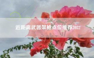 近距离武器架枪点位推荐2022