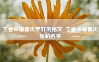 王者荣耀鲁班宇轩的铭文_王者荣耀鲁班超萌名字