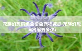 龙族幻想满级全橙色宠物数据(龙族幻想满冷缩要多少)