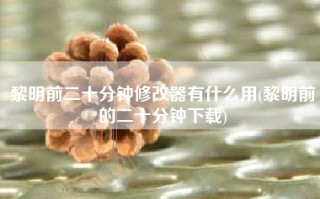 黎明前二十分钟修改器有什么用(黎明前的二十分钟下载)