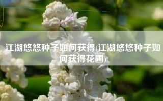 江湖悠悠种子如何获得(江湖悠悠种子如何获得花圃)