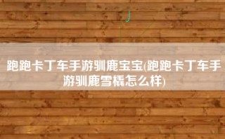 跑跑卡丁车手游驯鹿宝宝(跑跑卡丁车手游驯鹿雪橇怎么样)