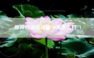 原神残像暗战第一天怎么打_1