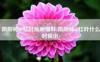 阴阳师SP红叶原画爆料(阴阳师sp红叶什么时候出)