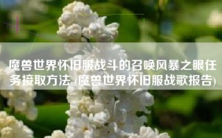 魔兽世界怀旧服战斗的召唤风暴之眼任务接取方法 (魔兽世界怀旧服战歌报告)