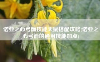 诺亚之心弓箭技能天赋搭配攻略(诺亚之心弓箭的通用技能加点)