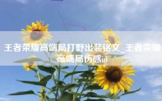 王者荣耀高端局打野出装铭文_王者荣耀高端局伤感id