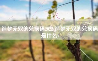 造梦无双的兑换码2022(造梦无双的兑换码是什么)