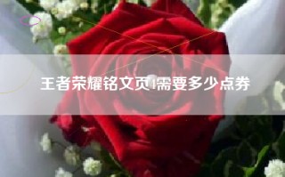 王者荣耀铭文页4需要多少点券