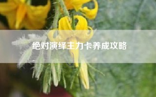 绝对演绎主力卡养成攻略