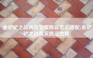 金铲铲之战执法女警阵容怎么搭配(金铲铲之战真实执法杰斯)