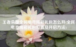 王者荣耀全民电竞喝彩礼包怎么开(全民电竞喝彩礼包位置及开启方法)