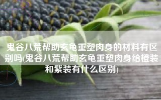 鬼谷八荒帮助玄龟重塑肉身的材料有区别吗(鬼谷八荒帮助玄龟重塑肉身给橙装和紫装有什么区别)