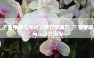 王者荣耀马克铭文需要吸血吗_王者荣耀马克铭文搭配