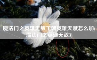 魔法门之英雄无敌王朝英雄天赋怎么加(魔法门之英雄无敌3)