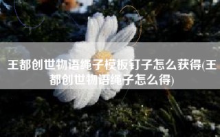 王都创世物语绳子模板钉子怎么获得(王都创世物语绳子怎么得)