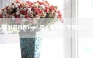 辐射避难所Online废土队攻略(平民废土流玩法指南)