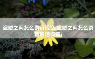 盗贼之海怎么语音说话(盗贼之海怎么语音说话设置)