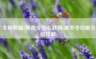 太极熊猫2黑市令怎么获得(黑市令功能介绍详解)
