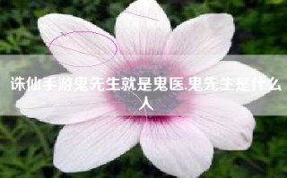 诛仙手游鬼先生就是鬼医,鬼先生是什么人