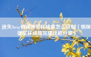 迷失Stray悄咪咪奖杯成就怎么获取（悄咪咪奖杯成就完成攻略分享）